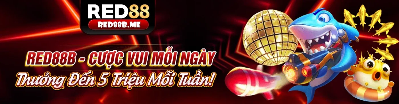 Hình ảnh nền chính sách cookie của cr88 win